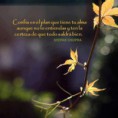 /album/frases-en-imagenes/a549151-10151339512537761-599647048-n-copia-jpg/
